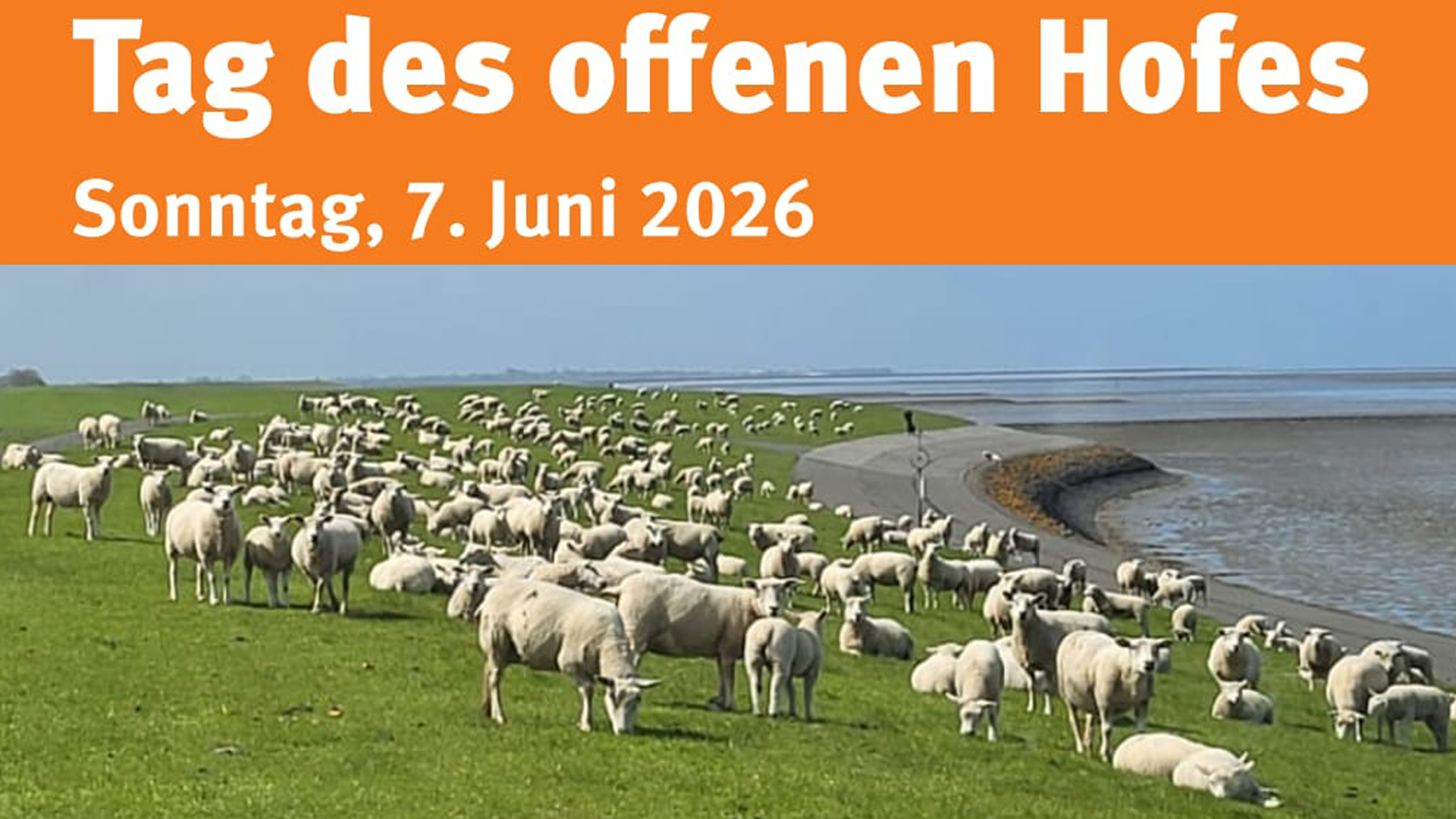 Tag des offenen Hofes unserer Deichschäferei, save the date!