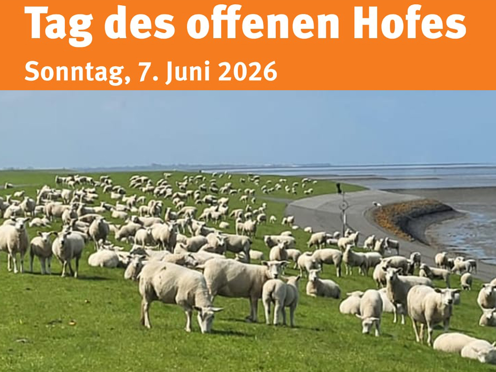 Tag des offenen Hofes unserer Deichschäferei, save the date!